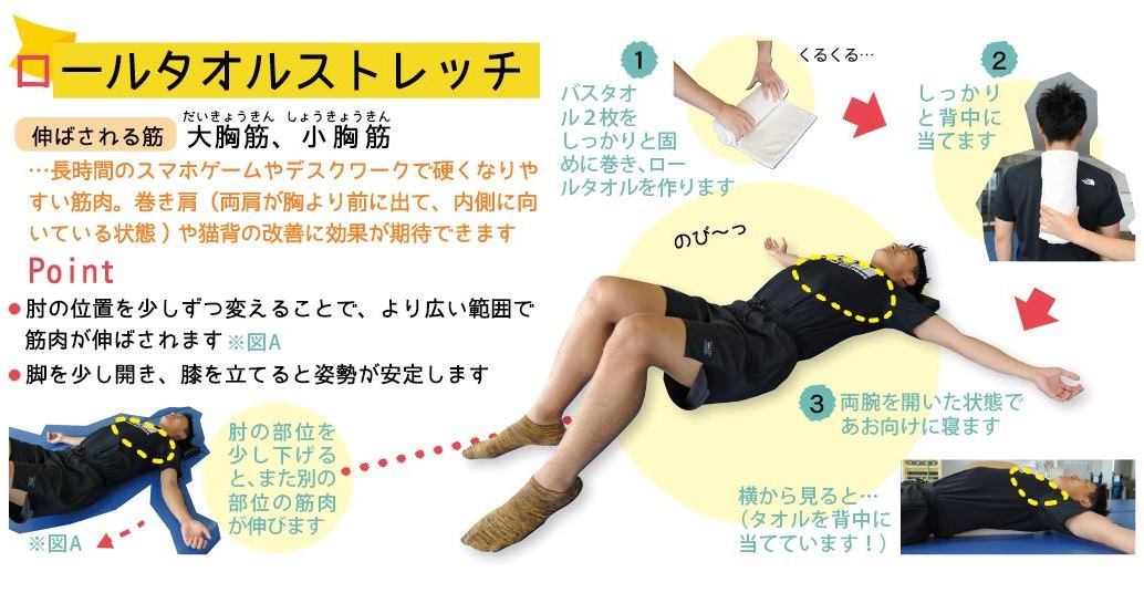 ロールタオルストレッチ